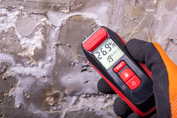 Best Attic Mold Removal  in Plains, MT